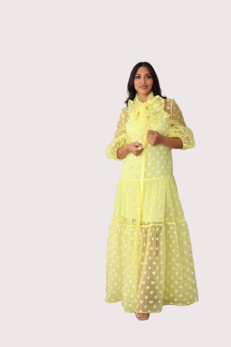 Polka Dot Organza Maxi Dress - 82234