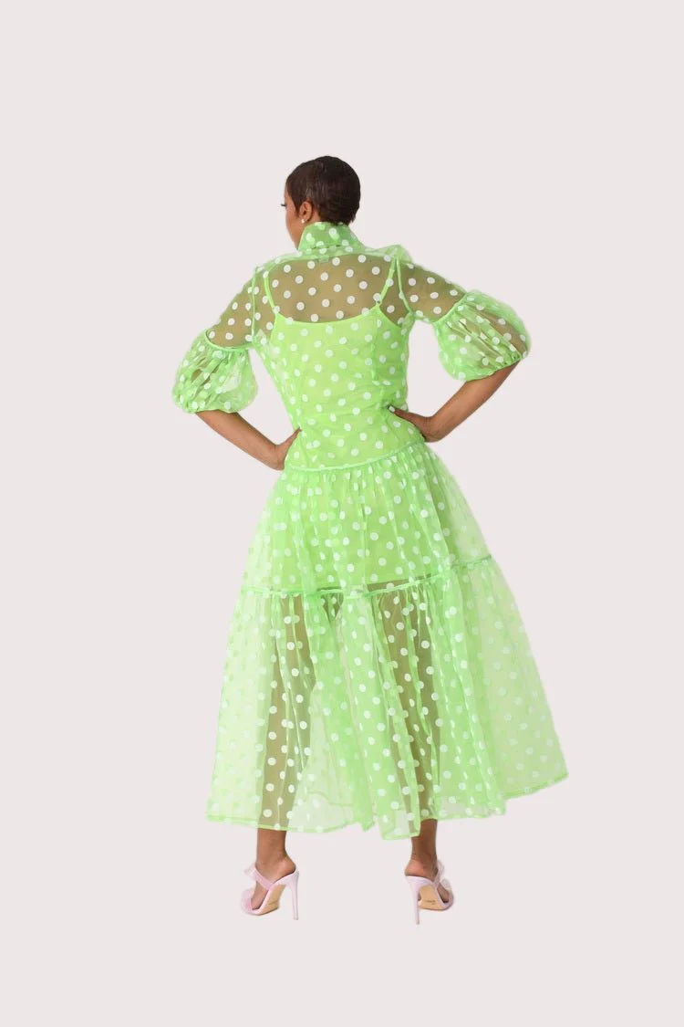 Polka Dot Organza Maxi Dress - 82234 - Image 14
