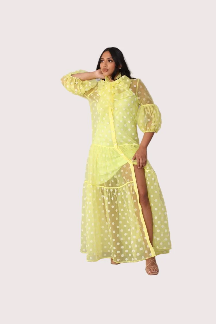 Polka Dot Organza Maxi Dress - 82234 - Image 6